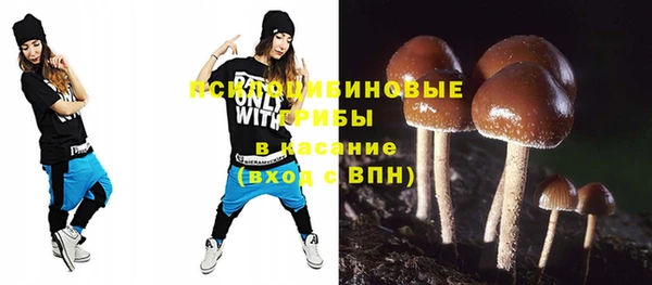 альфа пвп Краснослободск