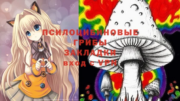 альфа пвп Краснослободск