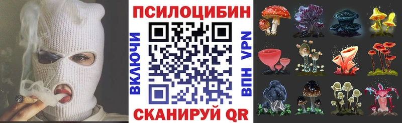 Галлюциногенные грибы Psilocybine cubensis  Купить закладки  Ардатов 